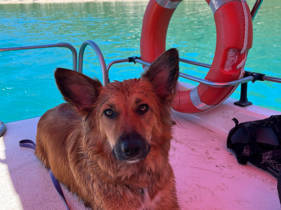 MYC Plage-艾居伊纳必去景点