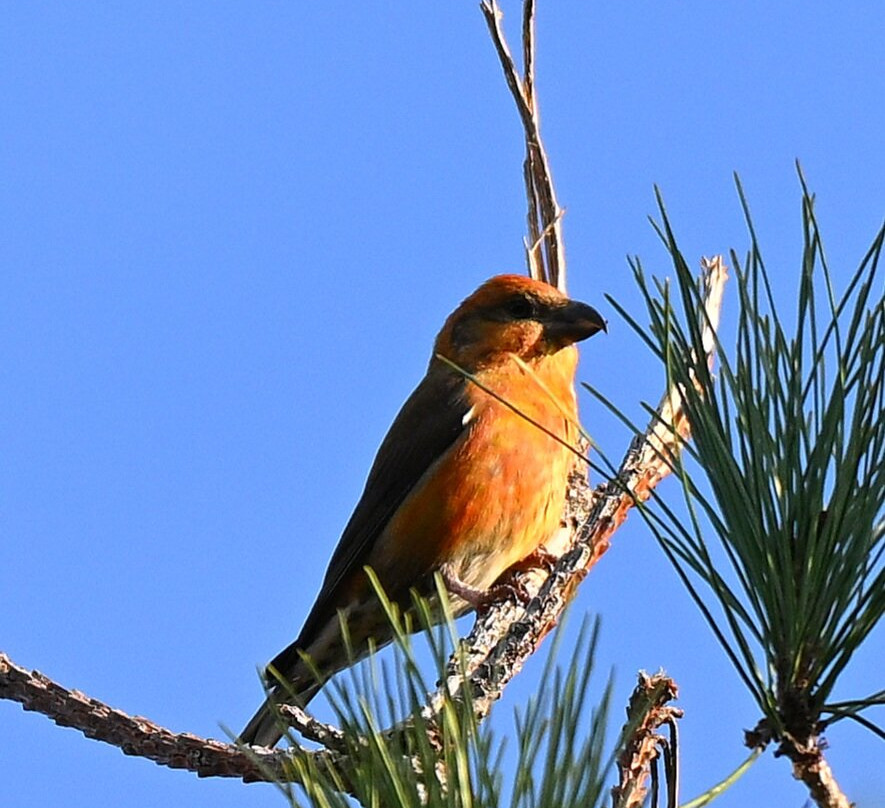 Haw Park Wood-韦克菲尔德必去景点