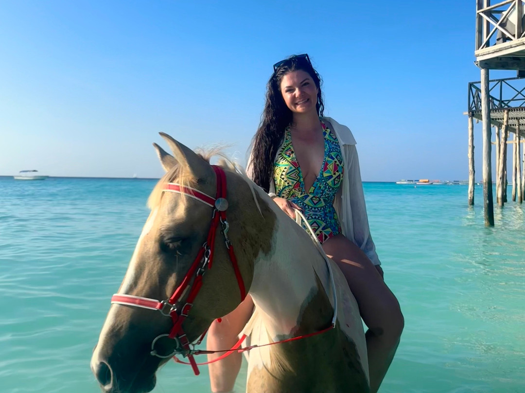 Zanzibar Horse Club-孥归必去景点