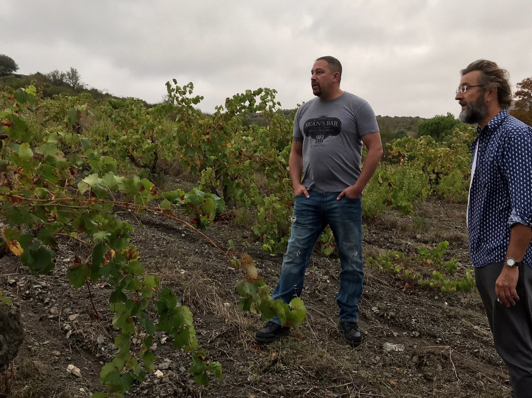 大吉尔海姆地区酒店主图