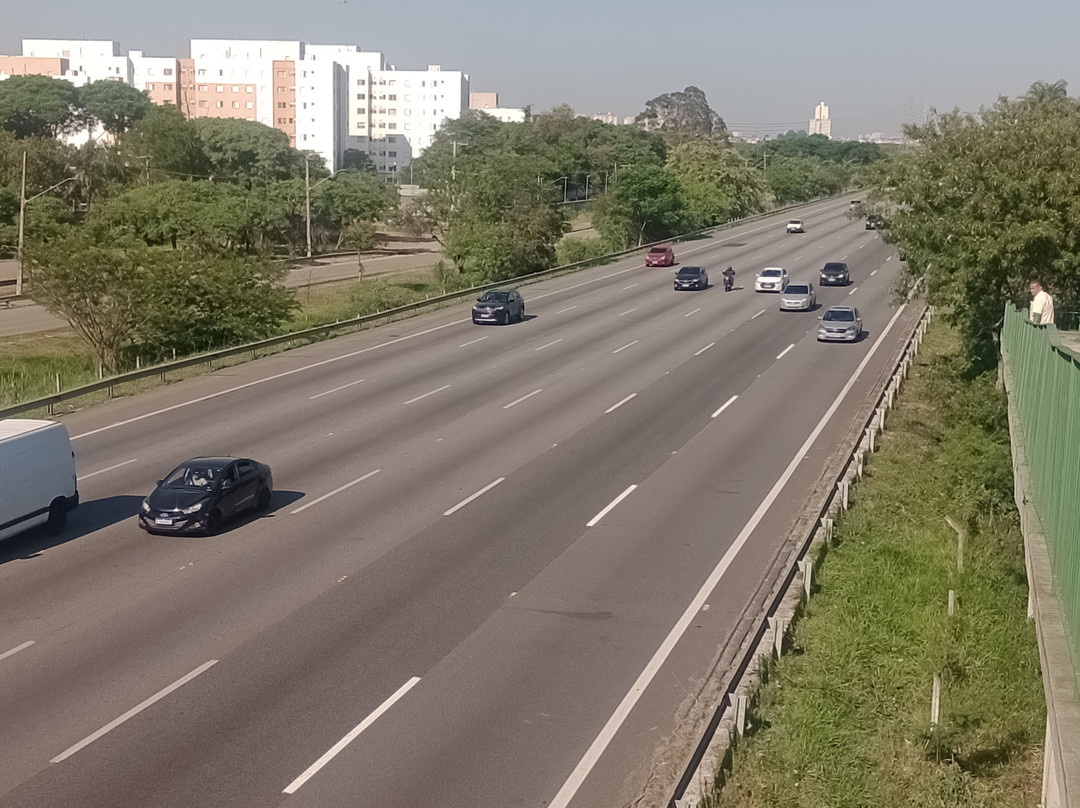 Parque Ecologico do Tiete-圣保罗必去景点