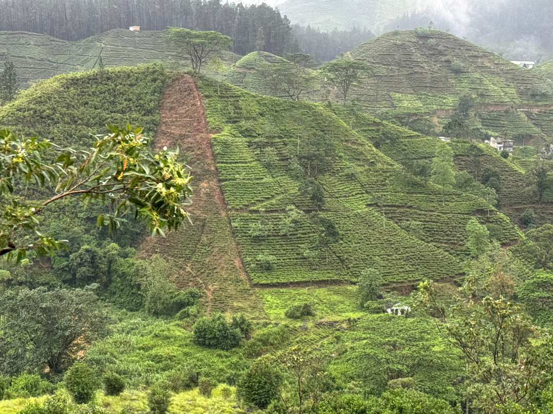 Sanju Ceylon Tours & Taxi-吉利托必去景点