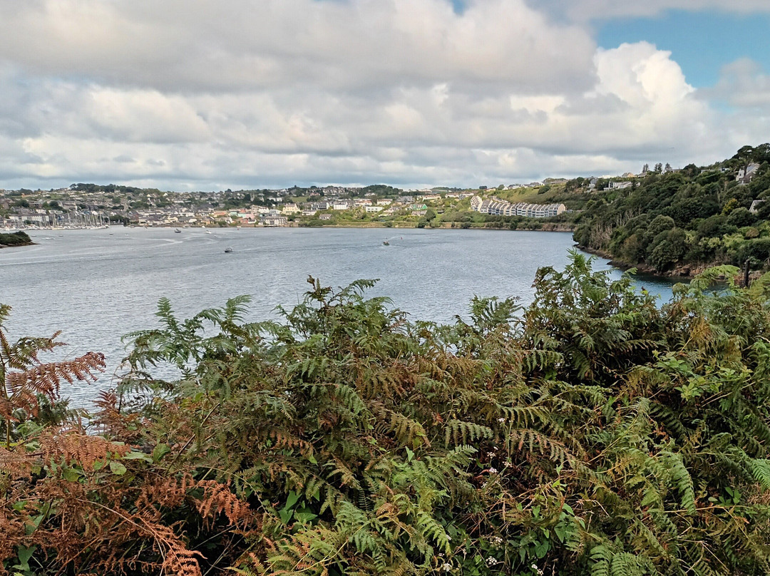Kinsale Tourist Office-金塞尔必去景点