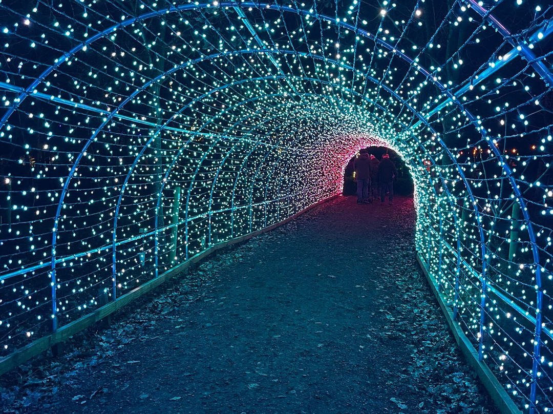 Heritage Wood-阿什伯恩必去景点