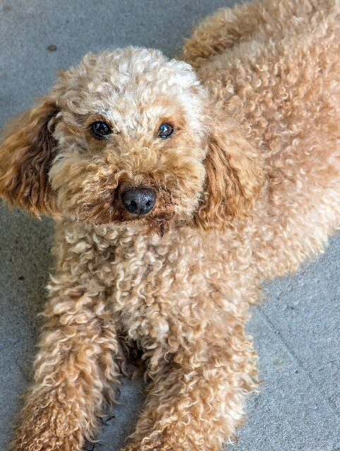 Manoir de la Salle du Roc主图