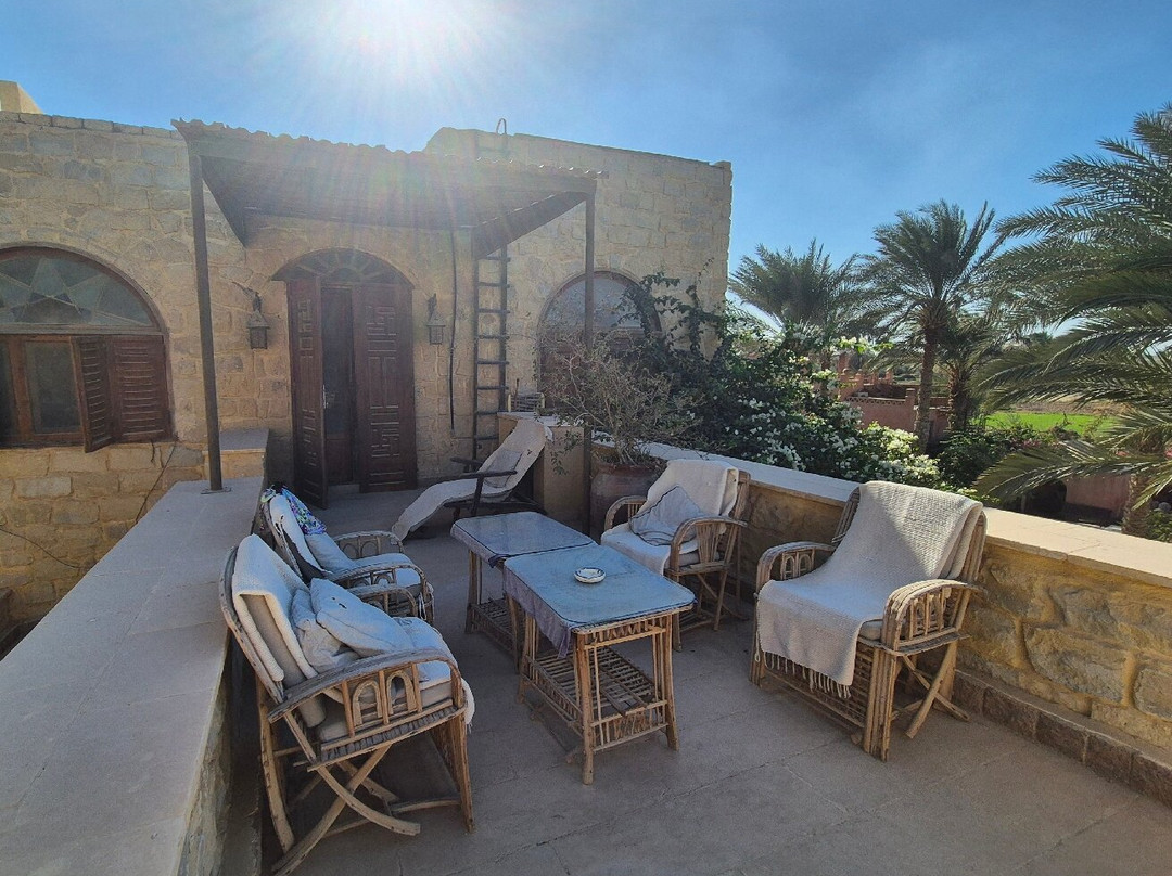 La Toupie Voyageuse-里昂必去景点