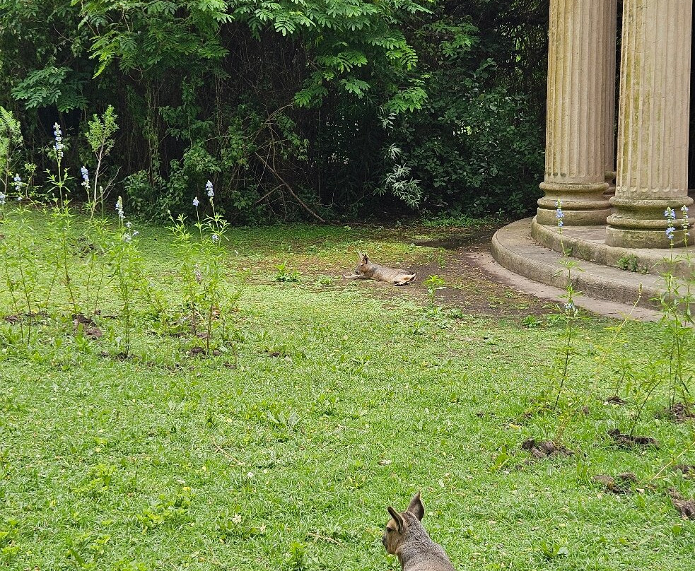 Eco Parque-布宜诺斯艾利斯必去景点