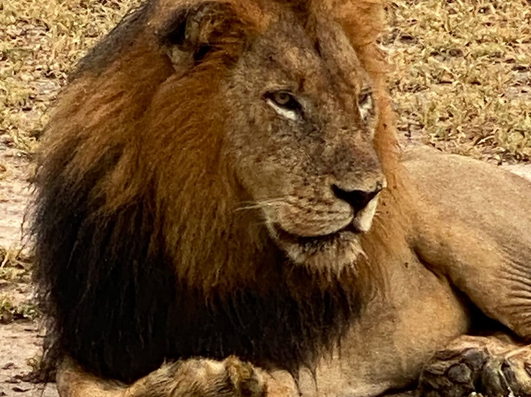 Top Africa Safaris-迪亚尼必去景点