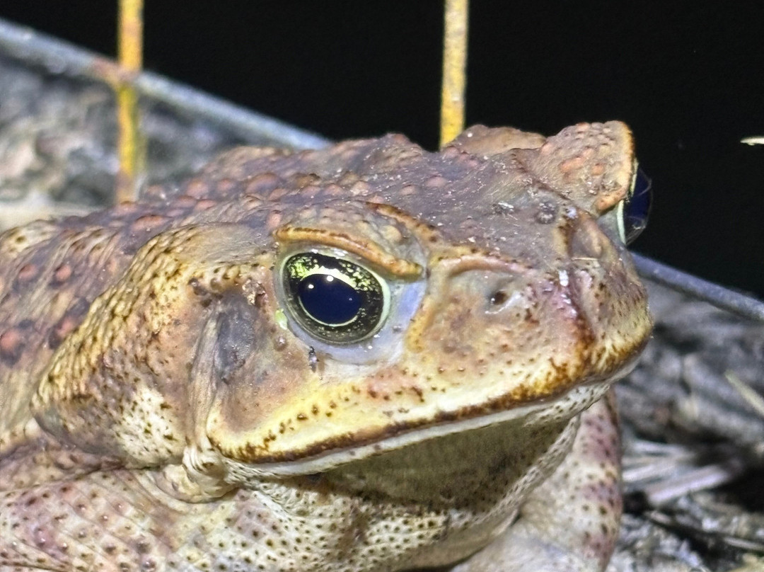 Santa Lucia Falls-乌维塔必去景点