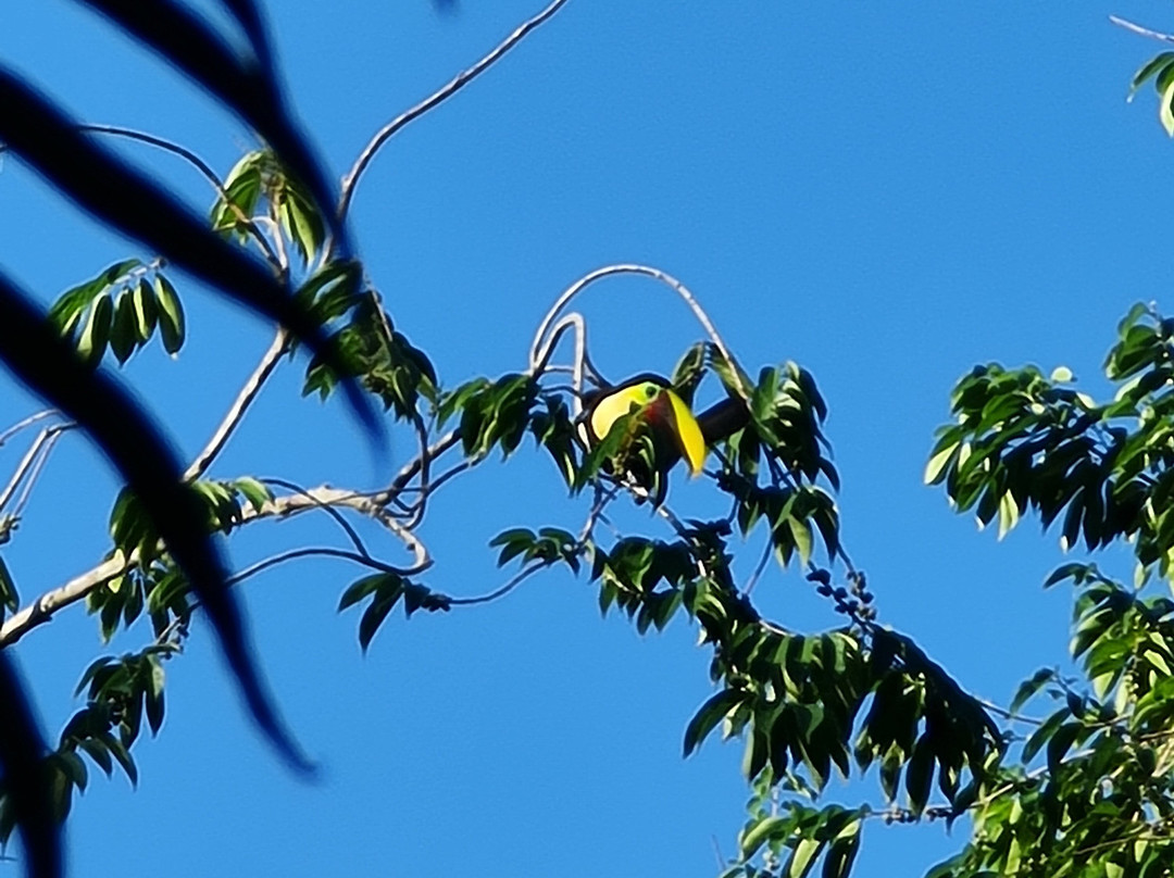 La Kukula Lodge主图