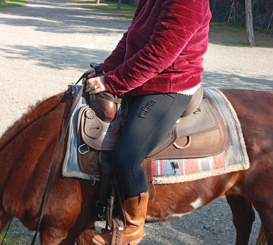 Family Horses 373-5361953-Marina di Ginosa必去景点