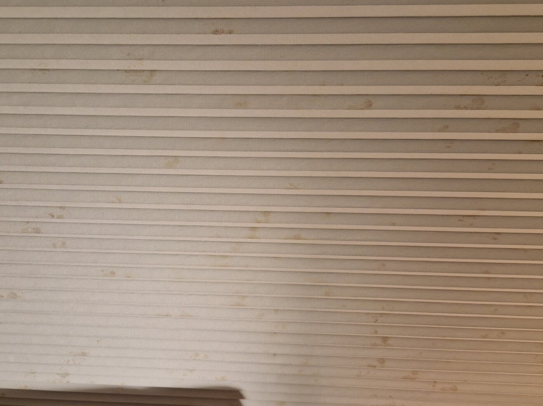 Capel Bethania-伊费林赫利必去景点