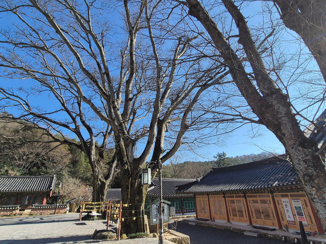 Muwisa Temple-康津郡必去景点