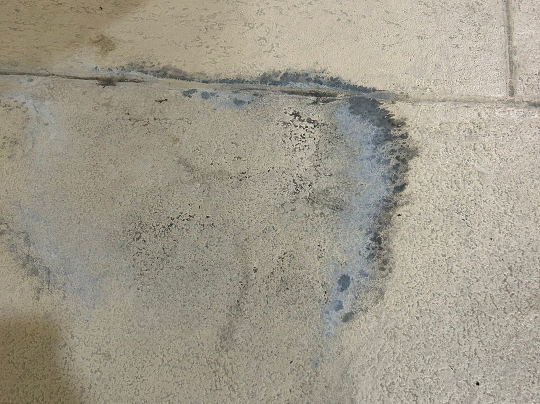 Holiday Inn Youngstown-south (boardman) By IHG主图