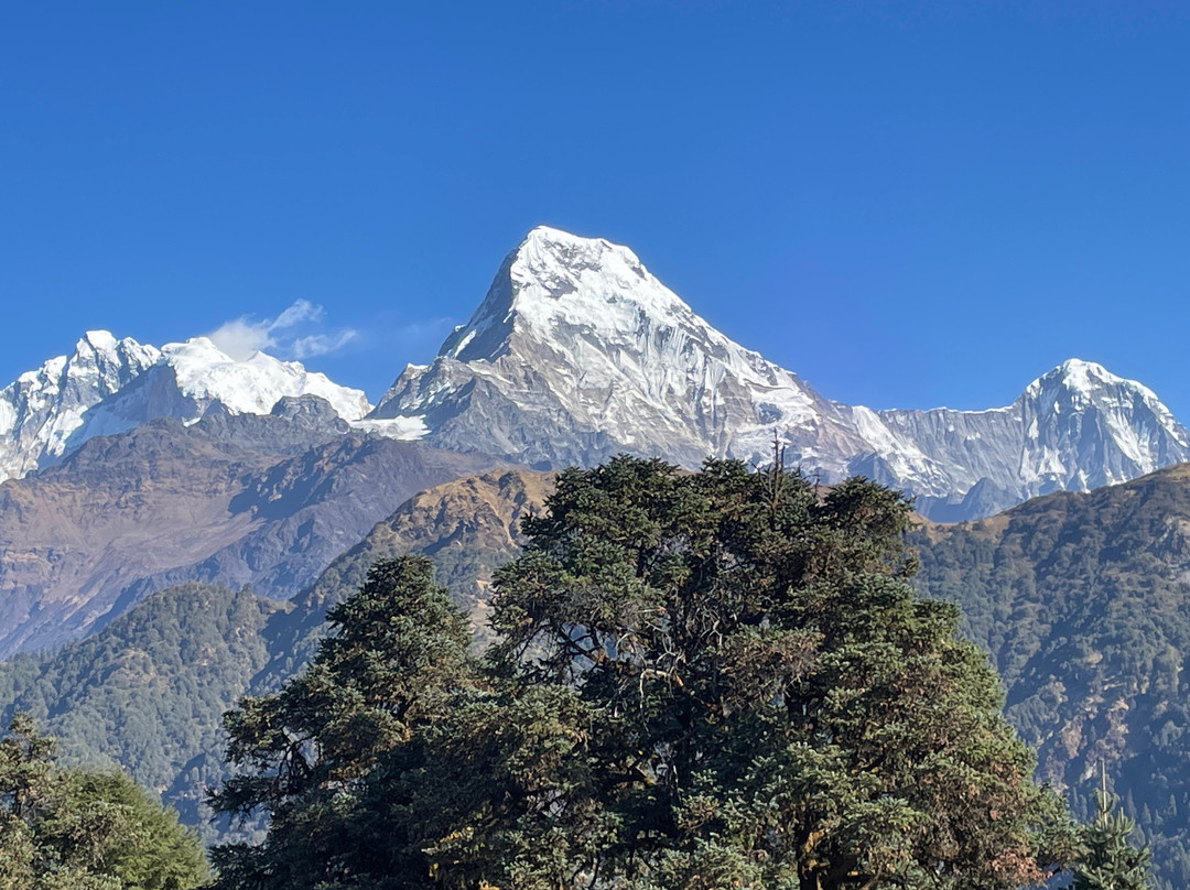 Adventure Himalaya Circuit Treks and Tours - Private Day Tours-加德满都必去景点