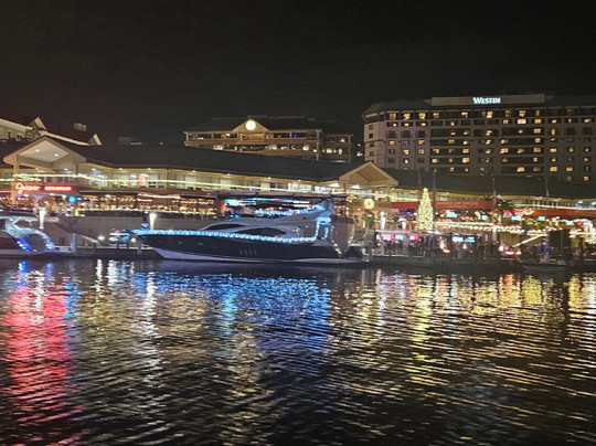 Pirate Water Taxi-坦帕必去景点