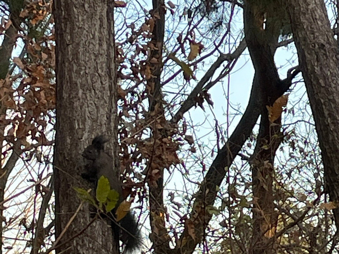 Eunpa Lake Park-群山市必去景点