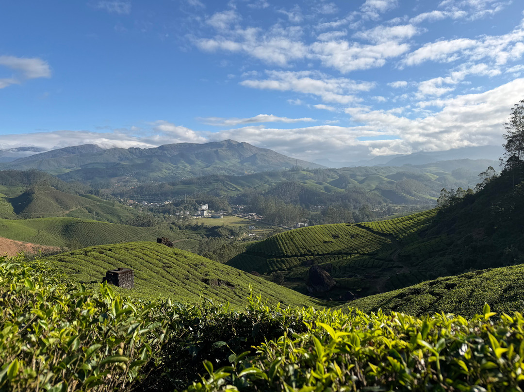 Experience Kerala Holiday Planners-柯钦必去景点