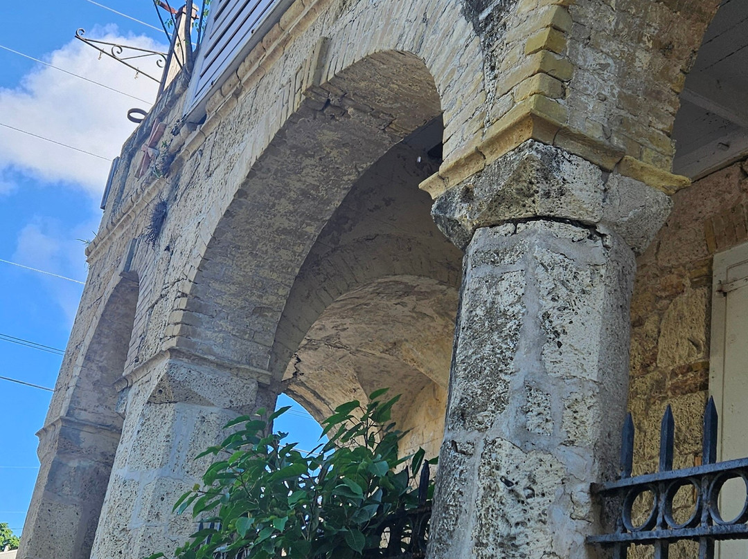 Island Life Adventures-Frederiksted必去景点