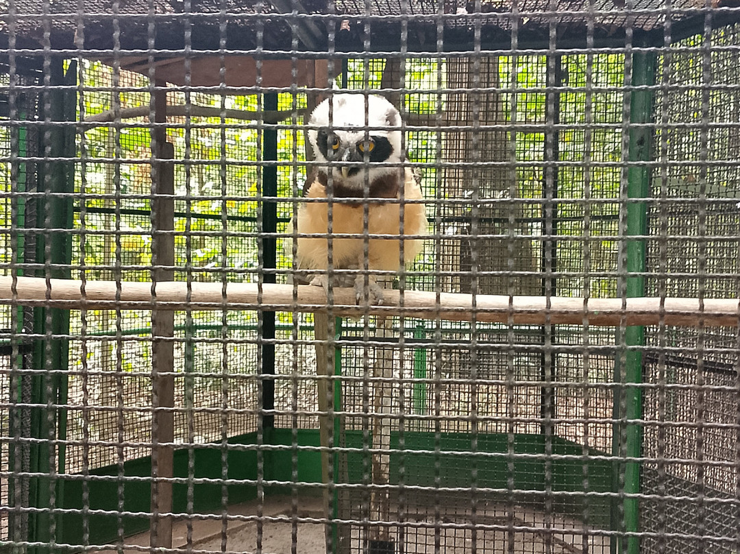 Bosque Rodrigues Alves - Jardim Botanico da Amazonia-贝伦必去景点