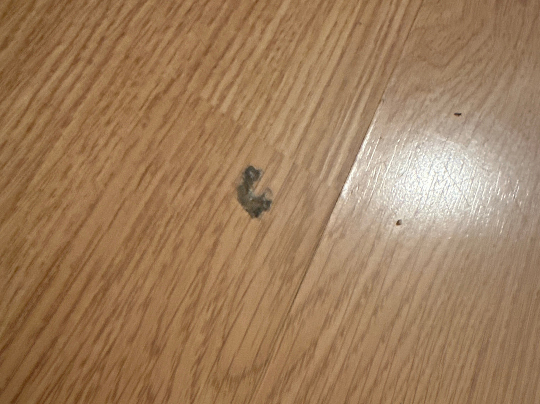 戴尔罗格酒店主图