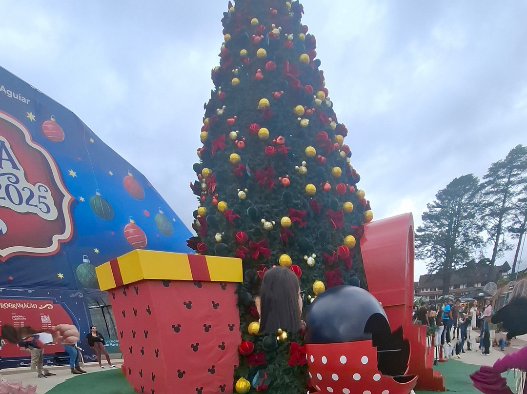 Vila Capivari-坎普斯－杜若尔当必去景点