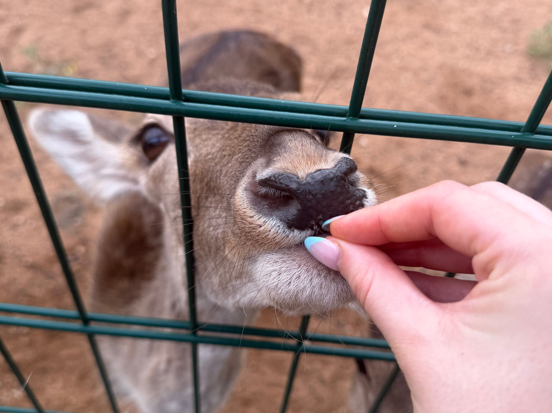 Philip's Animal Garden-Noord必去景点