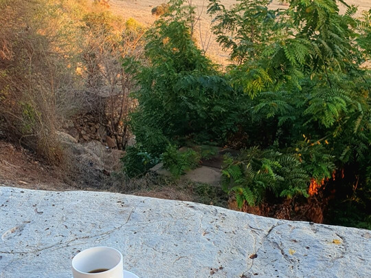 Safari Kenya Bliss (roby & King)-瓦塔木必去景点