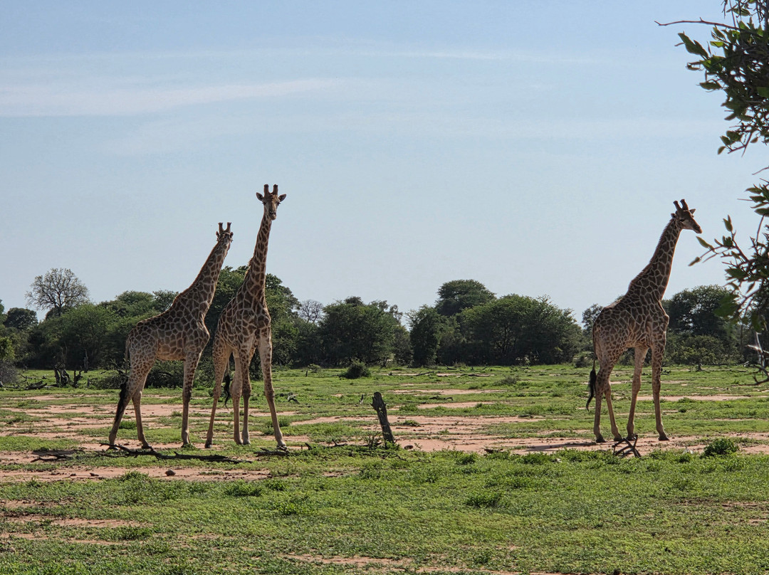 Mathikithi Wilderness Trail-克鲁格国家公园必去景点