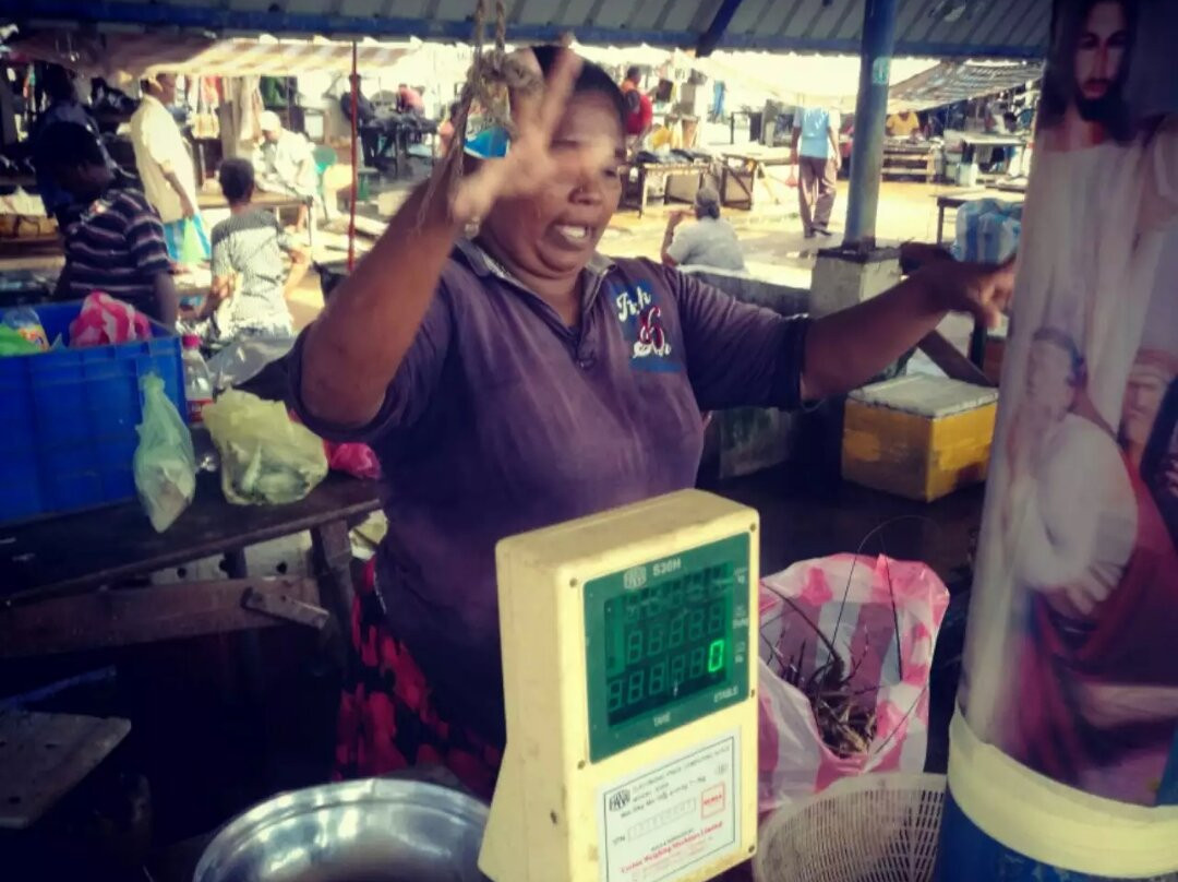 Govista Lanka Tours-Dankotuwa必去景点