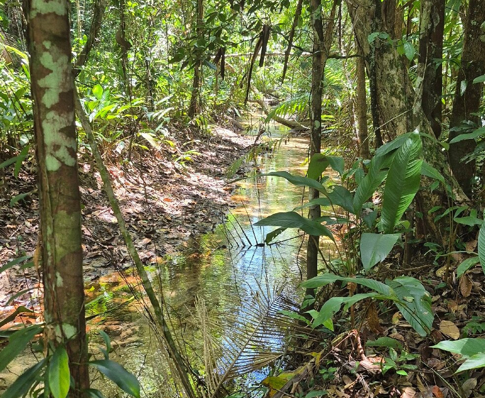 Serra do Conduru State Park-Urucuca必去景点