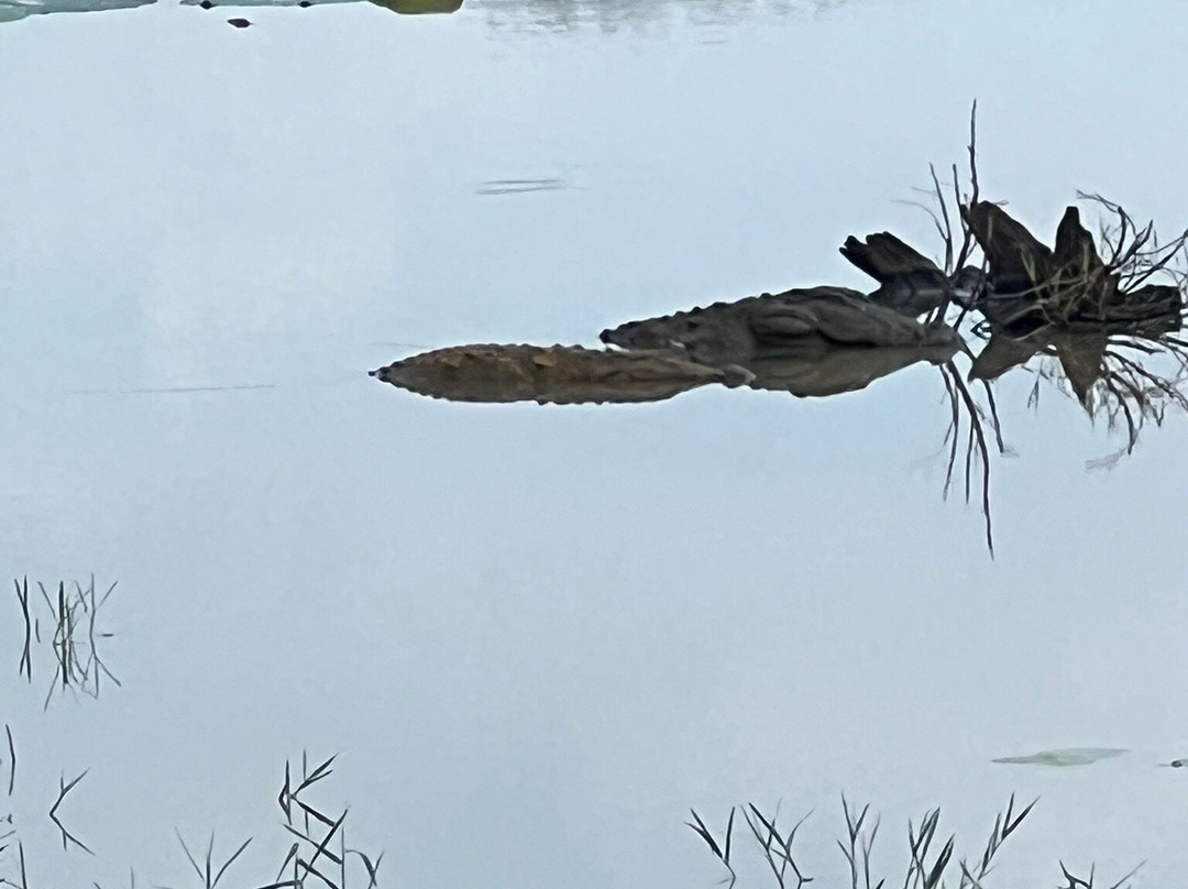 Uda walawe National Park-乌达瓦拉瓦必去景点