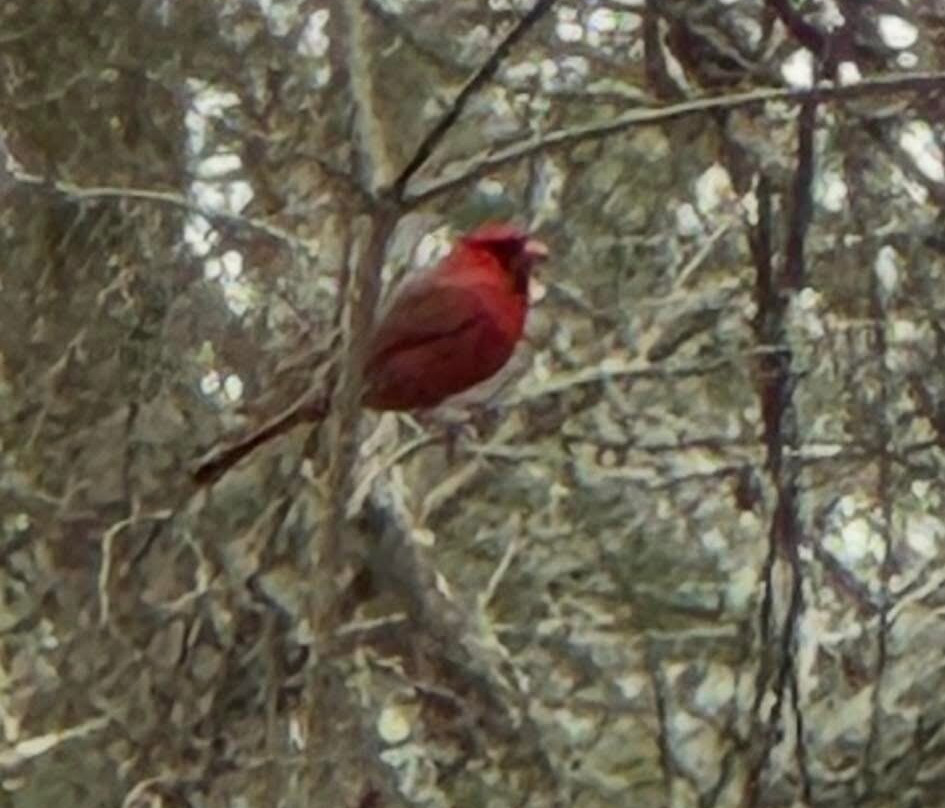 Maurice River Bluffs  Nature Preserve-Millville必去景点