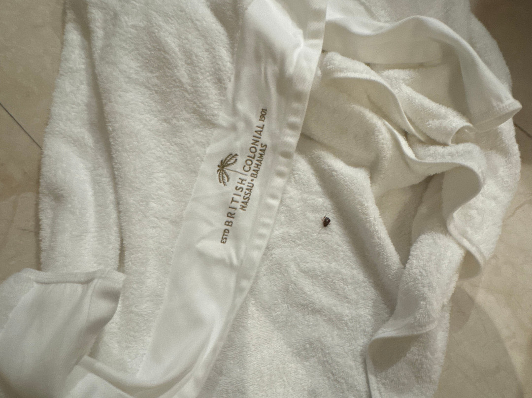 拿骚不列颠酒店主图