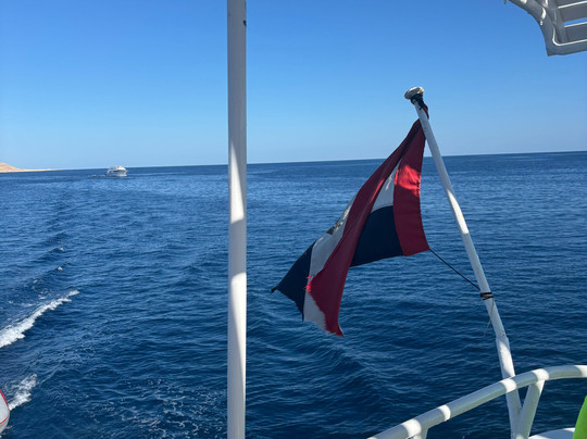 Atlantik Diving Center-艾尔可西利亚必去景点