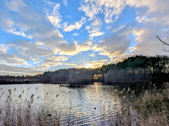 Mere Sands Wood Nature Reserve-Rufford必去景点