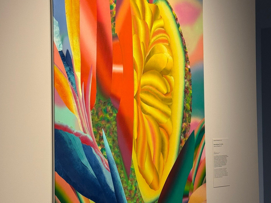 Limburgs Museum-芬洛必去景点