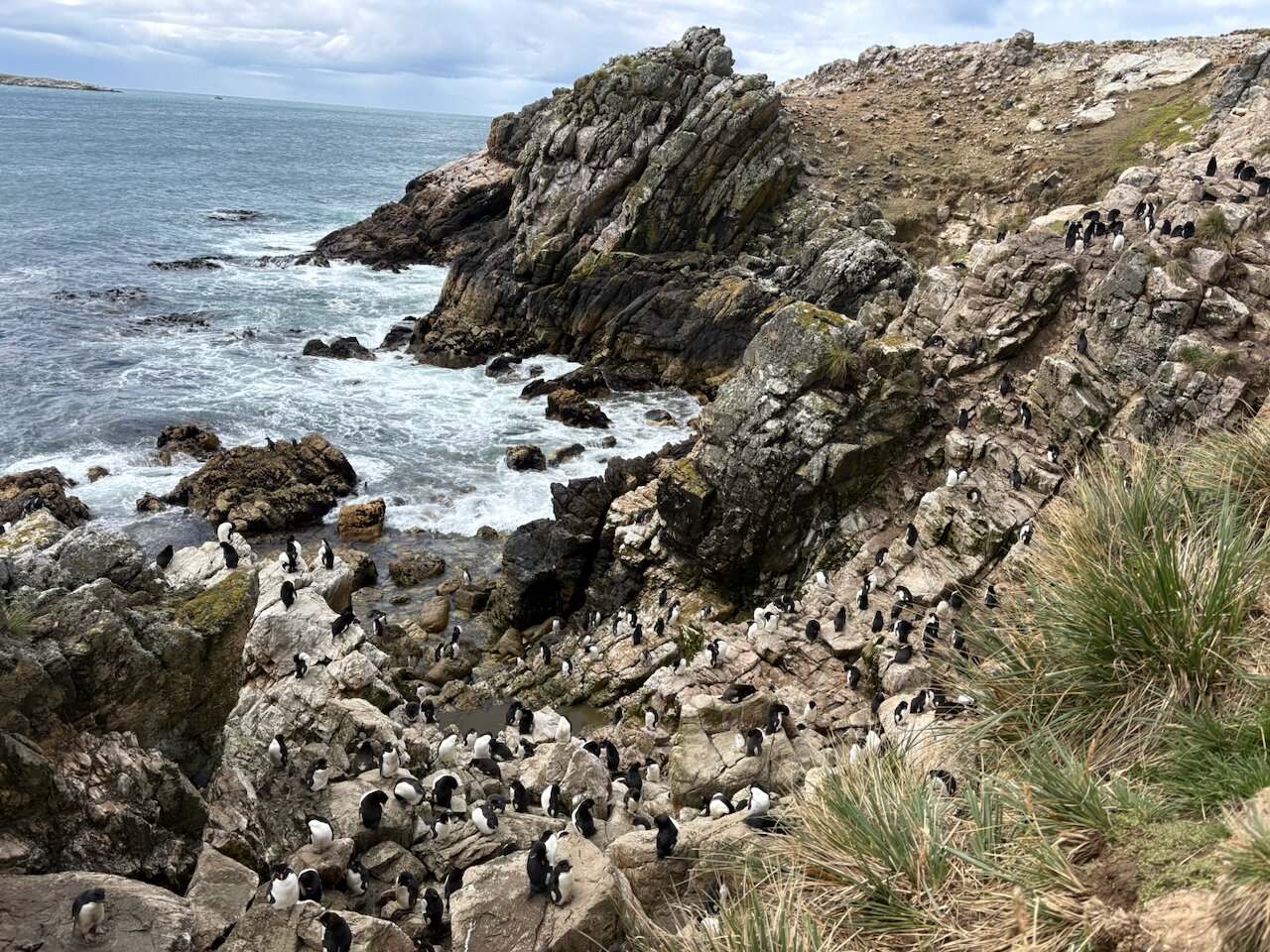 Pebble Island Lodge-官方
