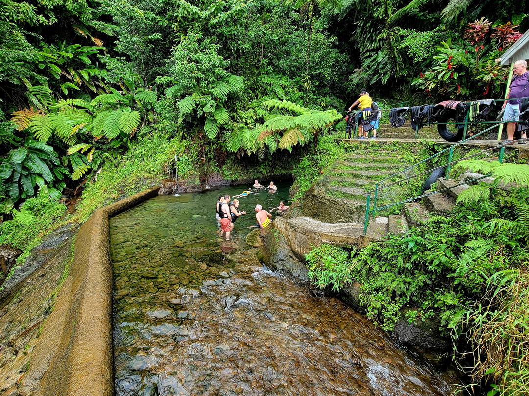 Screw's Sulphur Spa-多米尼克必去景点