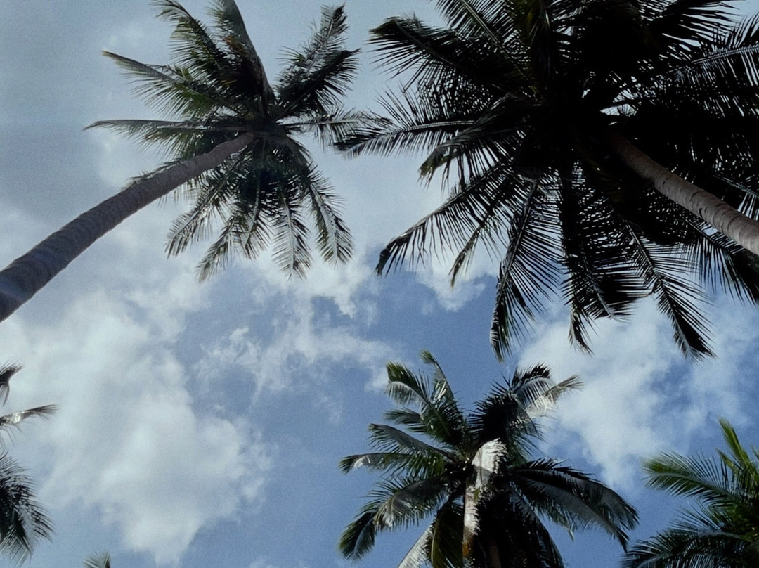 White Beach-巴顿港必去景点