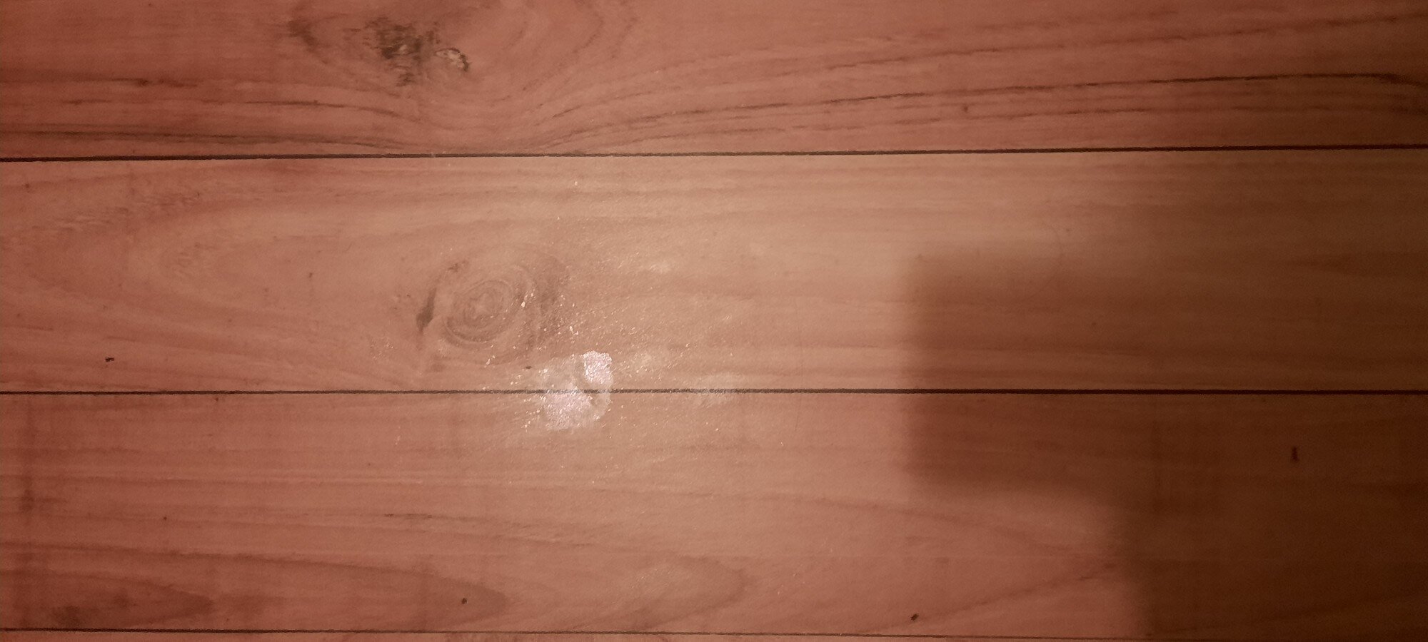 Novotel Le Mans-客卧