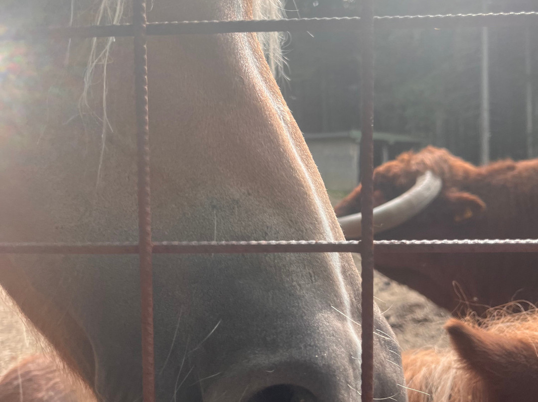 Oasi Delle Piane-Lama Mocogno必去景点