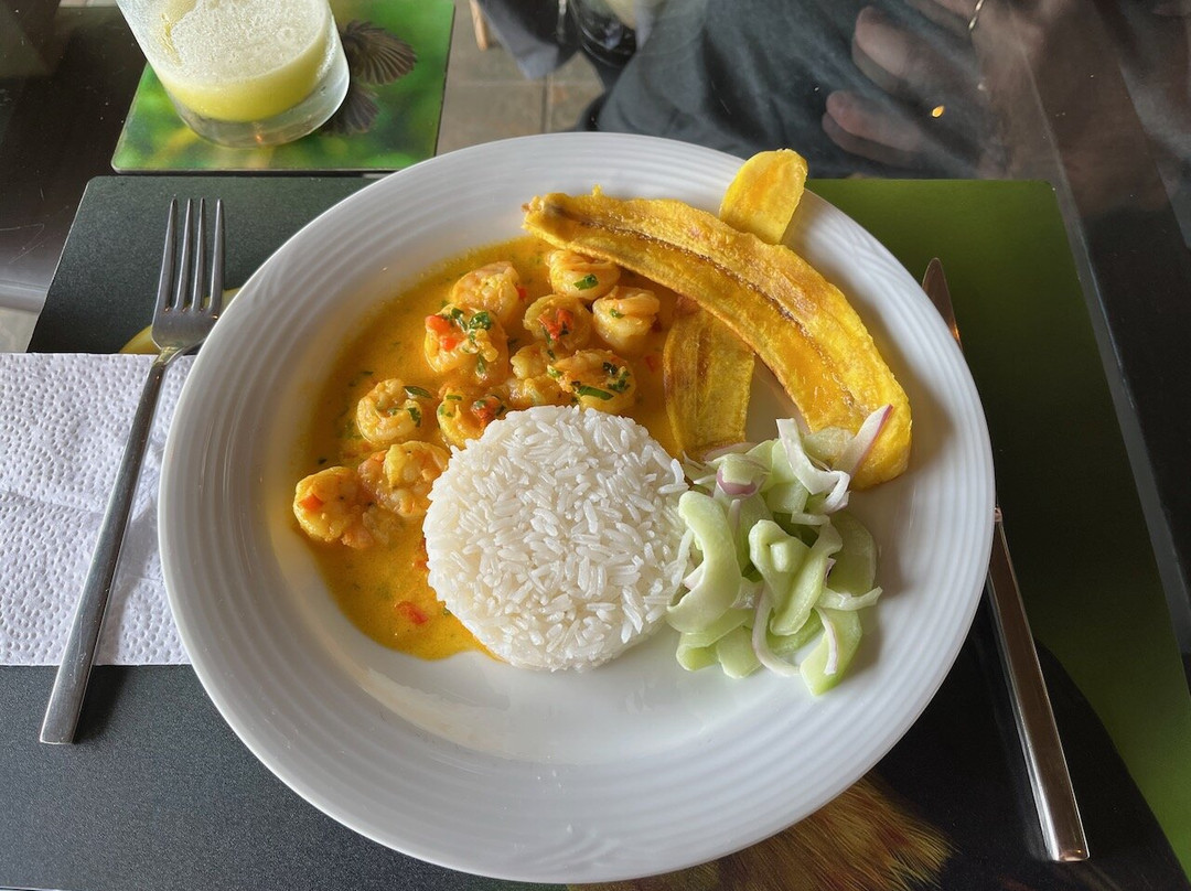 Choco Toucan Reserve-San Miguel de los Bancos必去景点