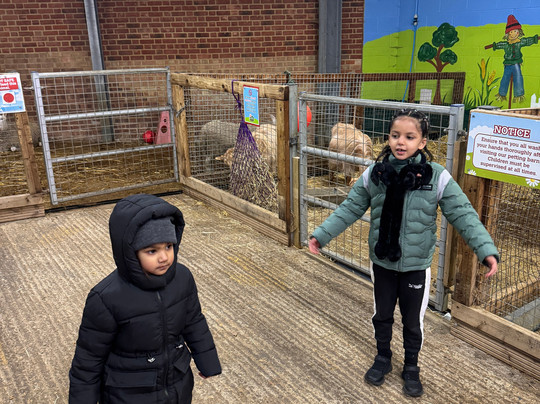 Old MacDonald's Farm-布伦特伍德必去景点