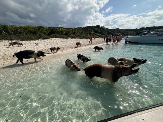 Great Guana Cay Adventures-Little Exuma必去景点