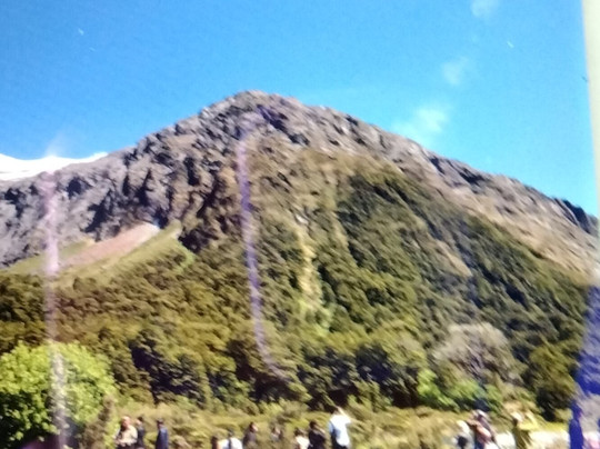 Cheeky Kiwi Travel-奥克兰中心地区必去景点