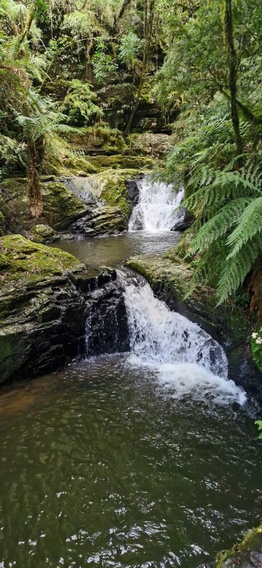 Pousada Pica-Pau-官方