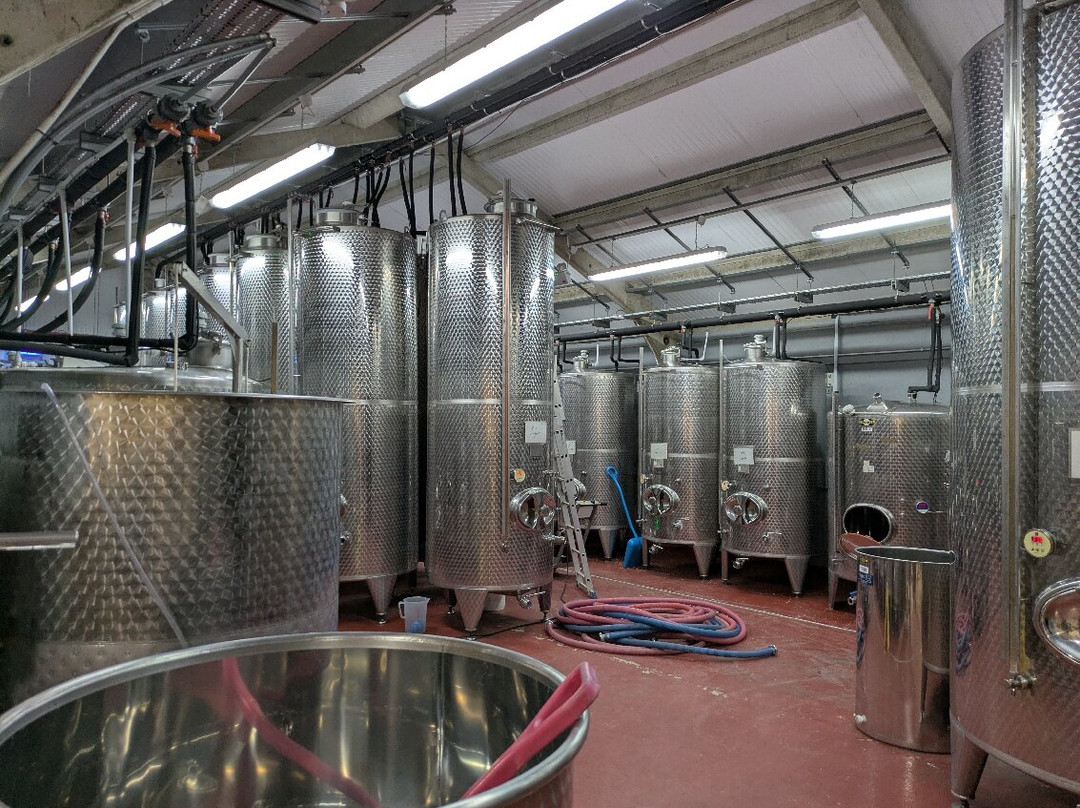 Woodchester Valley Vineyard-斯特劳德必去景点