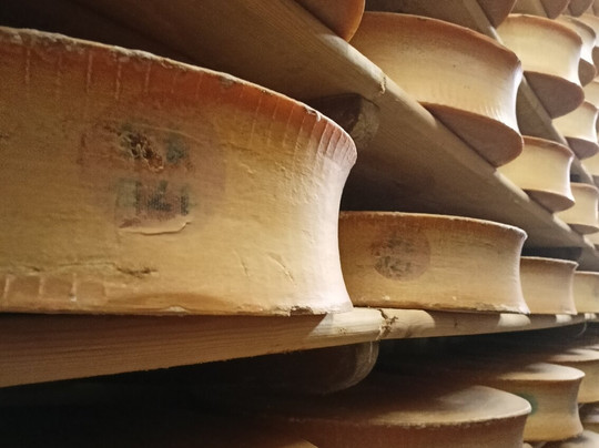 Coopérative Laitière du Beaufortain-Beaufort必去景点