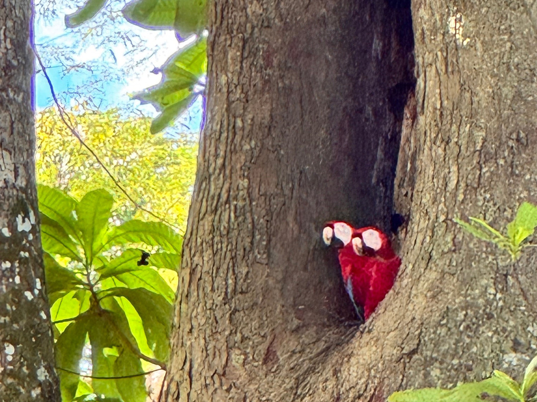 Alejandro Chaves Viquez Tour Guide-圣何塞必去景点